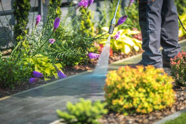 Best Spring Cleaning  in Aledo, IL